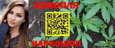 ГАЛЛЮЦИНОГЕННЫЕ ГРИБЫ Коммунар