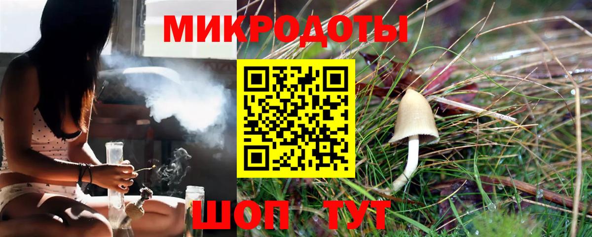 Псилоцибиновые грибы прущие грибы Мончегорск